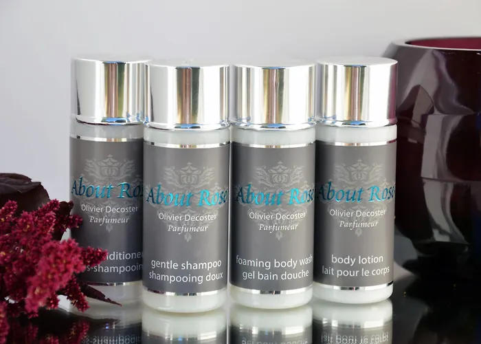 Balmoral Champs Elysees 4* פריז